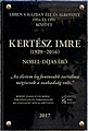 Kertész Imre