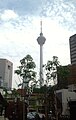 Kuala Lumpur tower in KL Malaysia