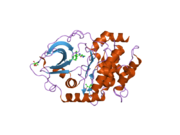 2jdt: STRUCTURE OF PKA-PKB CHIMERA COMPLEXED WITH ISOQUINOLINE-5-SULFONIC ACID (2-(2-(4-CHLOROBENZYLOXY) ETHYLAMINO)ETHYL) AMIDE