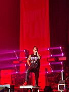 Pierre Bouvier live in Bologna 2022.jpg