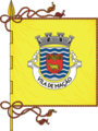 Bandeira de Mação