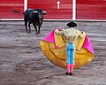 1.5 - 7.5: In cumbat da taurs a la fiera da San Marcos da 2010, a Aguascalientes, en il Mexico.