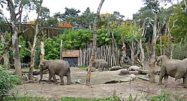 Dierenpark Amersfoort