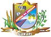 Ấn chương chính thức của Gurupi