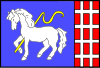 Flag of Metylovice
