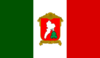 علم Toluca