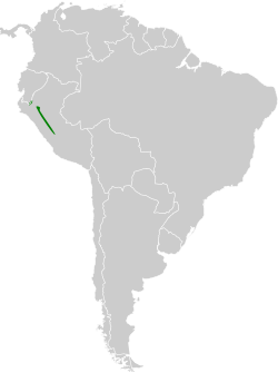 Distribución geográfica de la viudita andina septentrional.