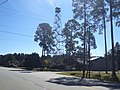 Leesburg Forestry tower