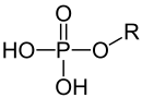 Fosforsyremonoester