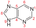 Deutsch: Struktur von Purin English: Structure of Purine