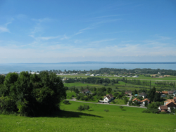 Altenrhein med Bodensøen i baggrunden