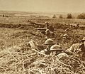 American troops in the field during World War I