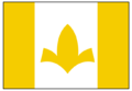 Bandeira de Itaueira