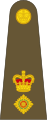 British Army (المملكه المتحده) (Lieutenant Colonel)