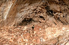 Cueva de los Letreros, arte rupestre en Almería.