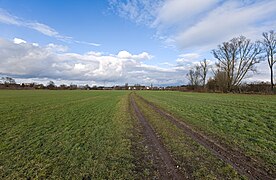 Floodplain in Vach LSG Rednitz-, Pegnitz- und Regnitztalsystem 2023-02-19 33.jpg