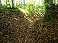 'n Grub in e natoerpark kótbei 't dörp Gryżyna