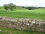 Hadrian's Wall Milecastle and Turrets Hadrians Wall, Milecastle and Turrets