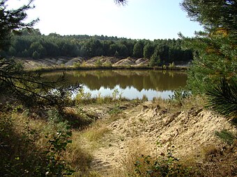 Aufgelassene Kieselgur-Grube in Neuohe (2008)