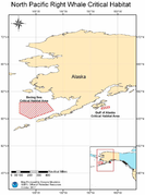 Northpacificrightwhale Critical Habitat.png