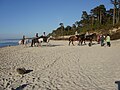 Ustka, plaża wschodnia