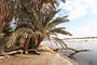 Fatnas-Insel in Siwa
