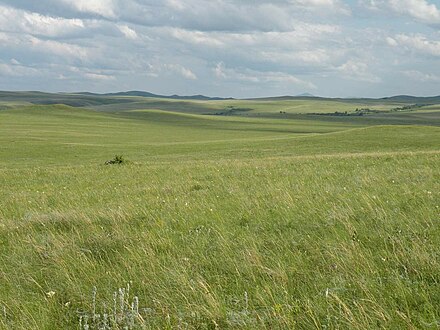 Estepe no sul da Sibéria (Krai de Altai).