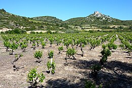 Corbières – Veduta