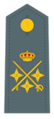 Divisa de teniente general (Guardia Civil)