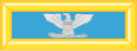 Colonel