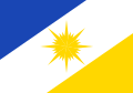 Official flag