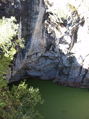 Der wassergefüllte Krater des Mount Hypipamee. Die grüne Färbung wird von Wasserlinsengewächsen verursacht.