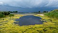 Image 71Jamaica Bay Wildlife Refuge East Pond