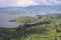 Landwirtschaftsflächen rund um den See