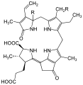 Dinoflagellate (R=H) and krill (R=OH) luciferin