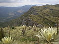 Páramo de Guerrero v Cundinamarci.