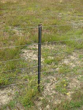 A steel post on a standard seven wire fence in New Zealand.