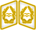 Kragenspiegel (Luftwaffe)