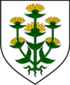 Wappen