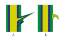 Biologischer Unterschied von Dorn (A) und Stachel (B)