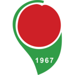 Logo von Amasyaspor