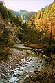 Der Ötscherbach im Herbst, nahe Talschluss des Ötschergrabens