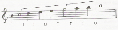 In this and all subsequent staves, the tonic is indicated by a whole note and the dominant by a half note. T stands for tanini (tone) which is equal to 9 commas and B stands for bakiye which is equal to 4 commas.