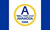 Flag of Anamosa, Iowa