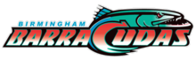 Team logo