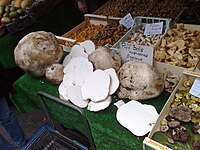 Calvatia gigantea, the giant puffball for sale at a market in England