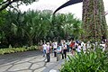 Gardens by the Bay, Singapore. IPS Biennial 2016