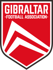 Shirt badge/Association crest