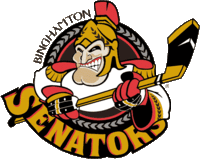 Description de l'image Binghamton Senators.gif.