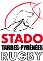 Logo du Stado Tarbes Pyrénées rugby depuis 2017.